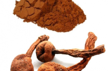 Huanarpo Macho: descubra os benefícios desse afrodisíaco natural