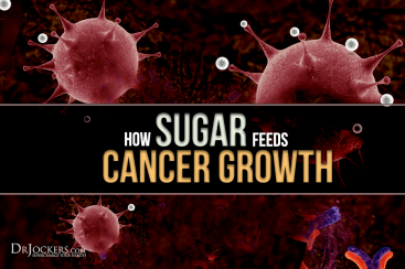 Como o açúcar alimenta o crescimento do câncer