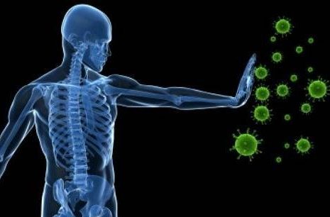 12 moduladores naturais do sistema imunológico